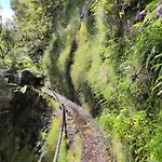 Tatil Evi Sea View Porto Moniz