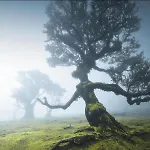 Tatil Evi Sea View *