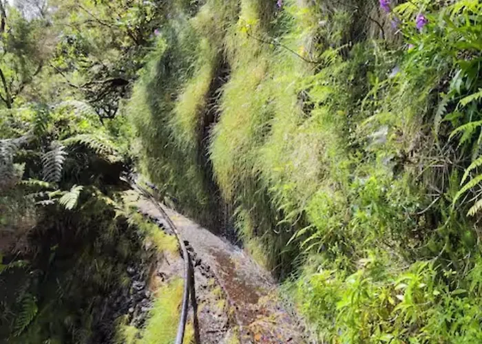 Σπίτι διακοπών Sea View Porto Moniz
