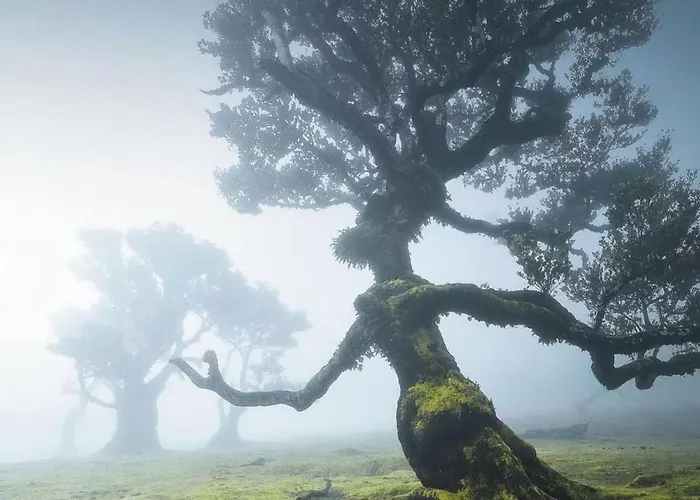 Σπίτι διακοπών Sea View *