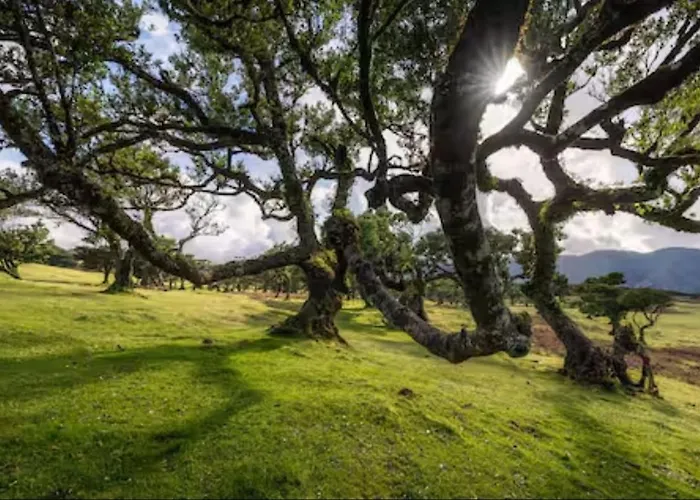 Sea View Σπίτι διακοπών